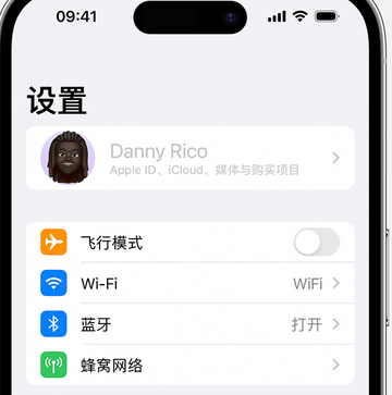 阿合奇appleID维修服务iPhone设置中Apple ID显示为灰色无法使用 