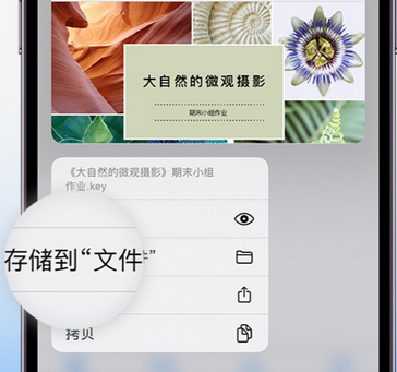 阿合奇apple维修中心分享iPhone文件应用中存储和找到下载文件