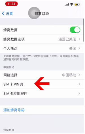 阿合奇苹果14维修网分享如何给iPhone14的SIM卡设置密码 