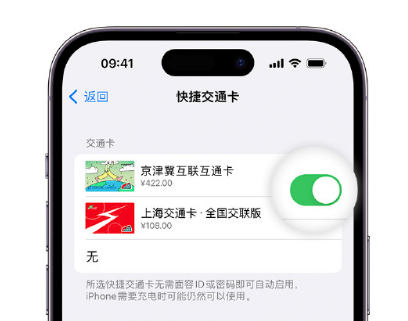 阿合奇apple维修点分享iPhone上更换Apple Pay快捷交通卡手绘卡面 