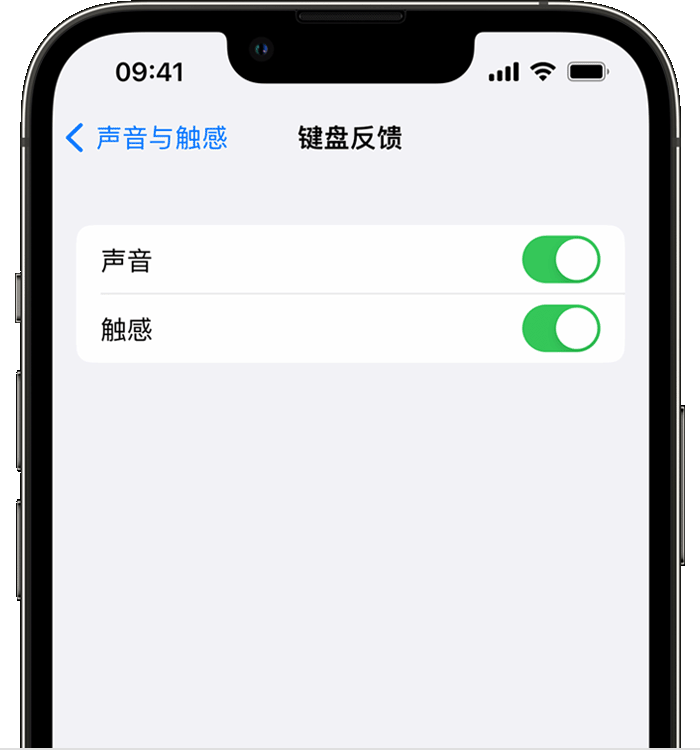 阿合奇苹果14维修店分享如何在 iPhone 14 机型中使用触感键盘 