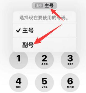 阿合奇苹果14维修店分享iPhone 14 Pro Max使用副卡打电话的方法 