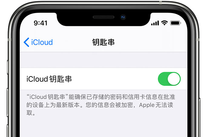 阿合奇苹果手机维修分享在 iPhone 上开启 iCloud 钥匙串之后会储存哪些信息 