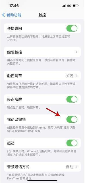 阿合奇苹果手机维修分享iPhone手机如何设置摇一摇删除文字 