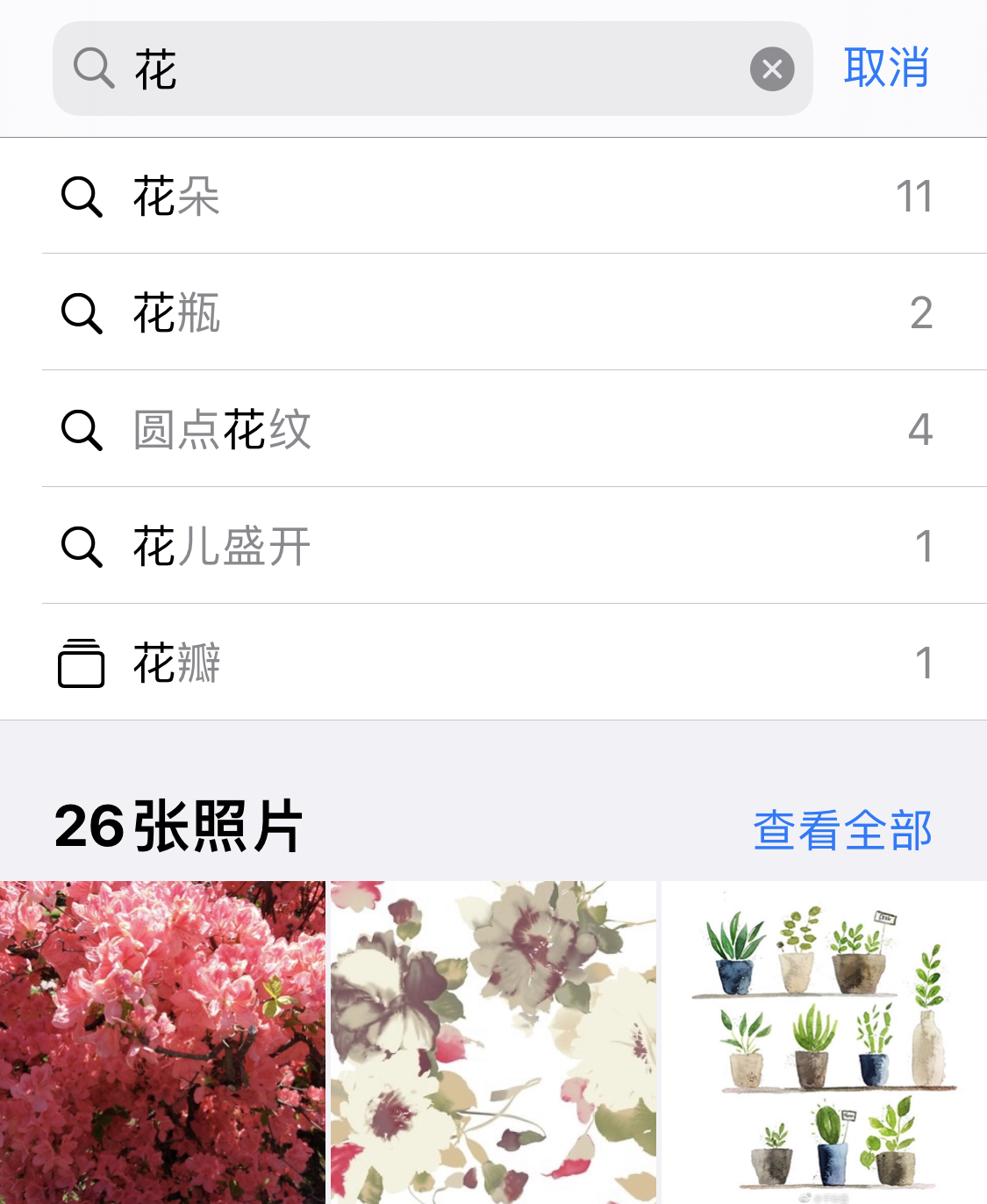 阿合奇苹果手机维修分享iPhone 小技巧 