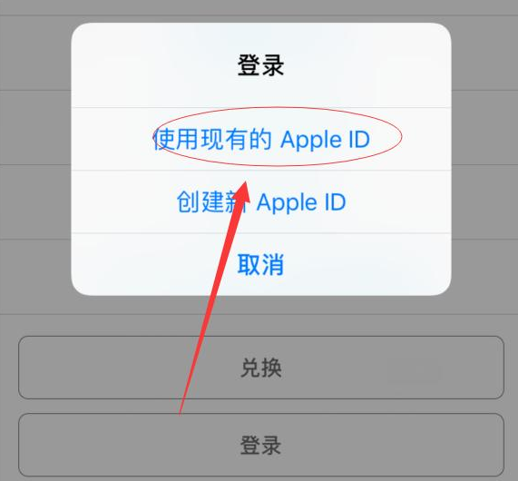阿合奇苹果手机维修分享两台iPhone设备可以同时登录一个Apple ID吗 