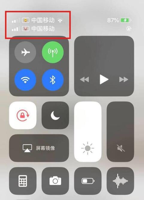 阿合奇苹果手机维修分享为 iPhone 12 双卡设置标签 