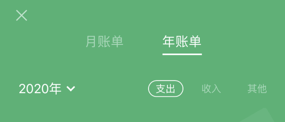 阿合奇苹果手机维修分享如何在 iPhone 上查看支付宝和微信年支出账单 