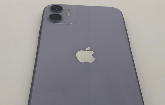 阿合奇苹果11系统维修分享iPhone11手机系统崩溃无法开机如何解决